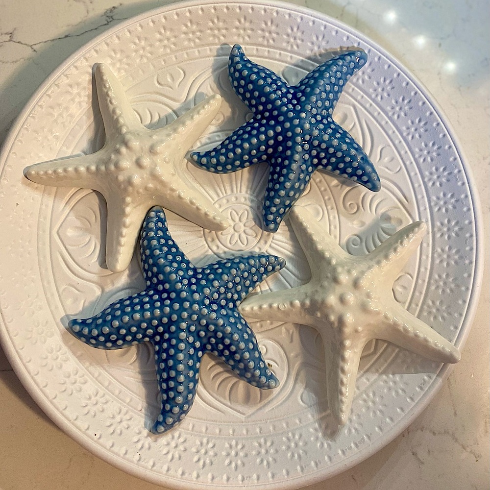 Coastal Blue and White Starfish Set